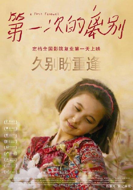 制作爱尔兰身份证